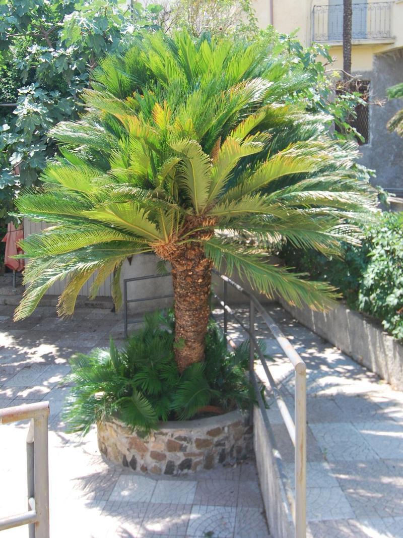 Hotel San Giuseppe - Cityhotel Catanzaro Exterior photo